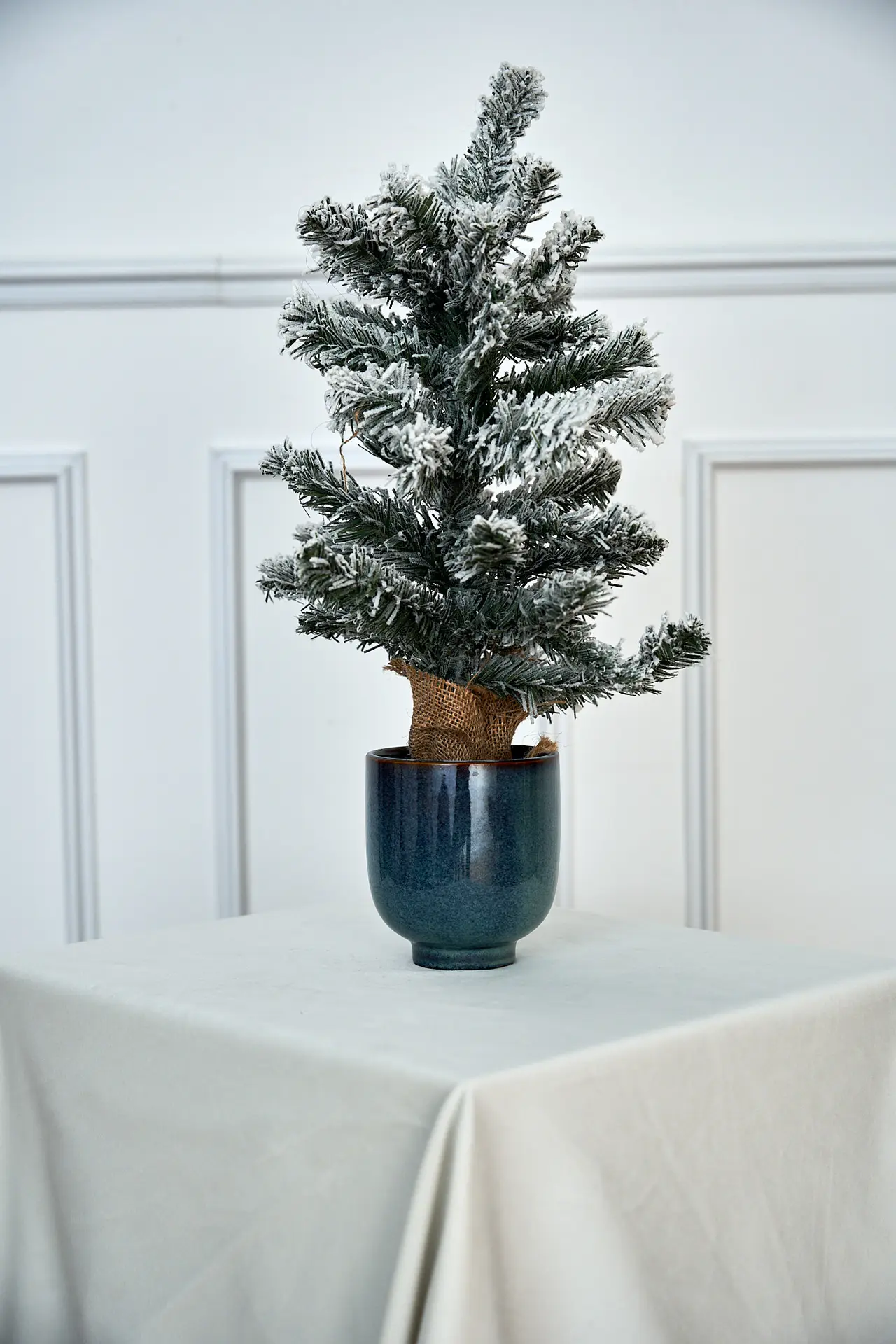 Snowy mini tree in pot