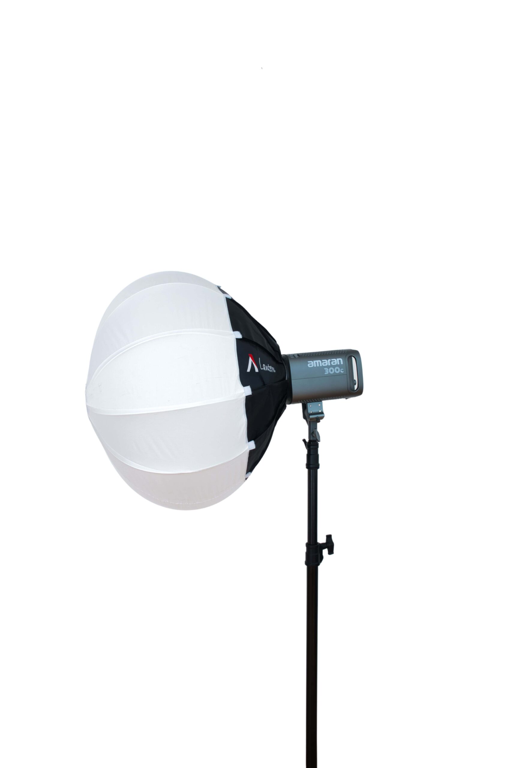 Nid abeille softbox studio photo professionnel